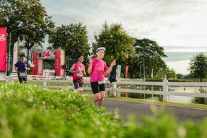 BIB: 
                            <button type="button" onclick="openModal(26555944)" class="btn btn-primary btn-sm float-right btn-popup" data-toggle="modal" data-target=".modal-high-quality">
                        <i class="fas fa-shopping-cart"></i> Add to Cart
                    </button>
                                            <button type="button" onclick="isThisMe(26555944, true)" class="btn btn-success btn-sm float-right btn-popup btn-isme hidden" data-toggle="tooltip" data-placement="bottom" title="นี่คือรูปของคุณใช่ไหม คลิกที่นี่เพื่อเอาเข้าอัลบั้ม">
                        <i class="fas fa-plus"></i> Add to album
                    </button>
                    <button type="button" onclick="isThisMe(26555944, false)" class="btn btn-warning btn-sm float-right btn-popup btn-isnotme hidden">
                        <i class="fas fa-ban"></i> Remove from album
                    </button>